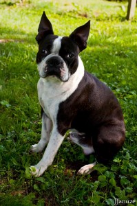 jalenejanuze_winston01