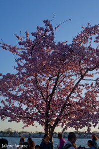 jalenejanuze_20140410_DC2816w