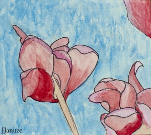 jjanuze_watercolor002
