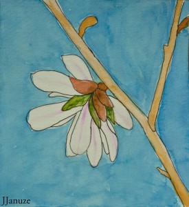 jjanuze_watercolor003