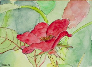 jjanuze_watercolor004