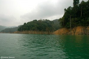 jalenejanuze_Malaysia102006_0004w