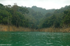 jalenejanuze_Malaysia102006_0006w