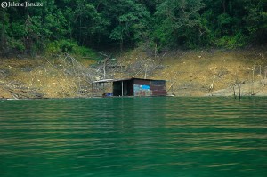 jalenejanuze_Malaysia102006_0022w