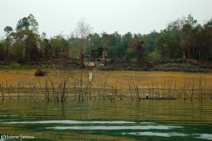 jalenejanuze_Malaysia102006_0024w