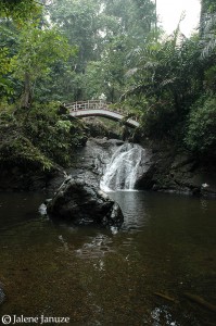 jalenejanuze_Malaysia102106_0040w