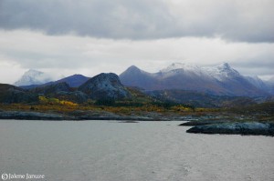 jalenejanuze_Norway092707_004w